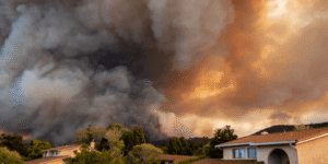 Disaster Blog no text